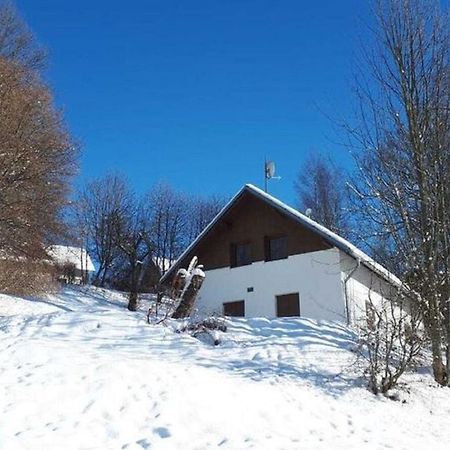 Cozy Chalet Near Ski Area In Javornik Rudník Exteriör bild