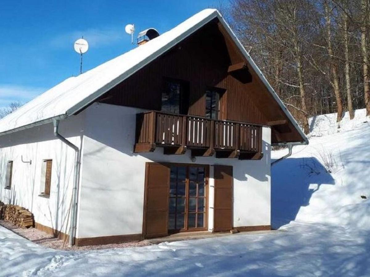 Cozy Chalet Near Ski Area In Javornik Rudník Exteriör bild